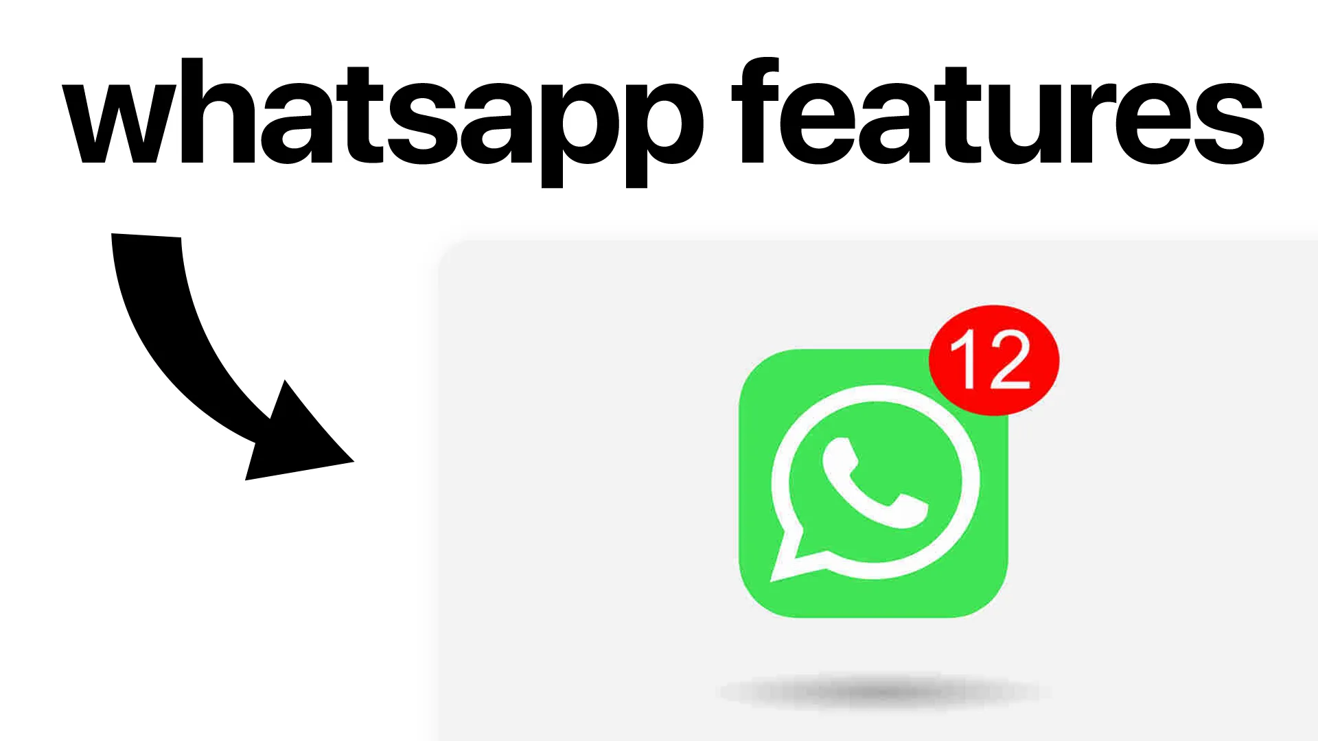 WhatsApp Chat Features – Your Most Asked Questions Answered
